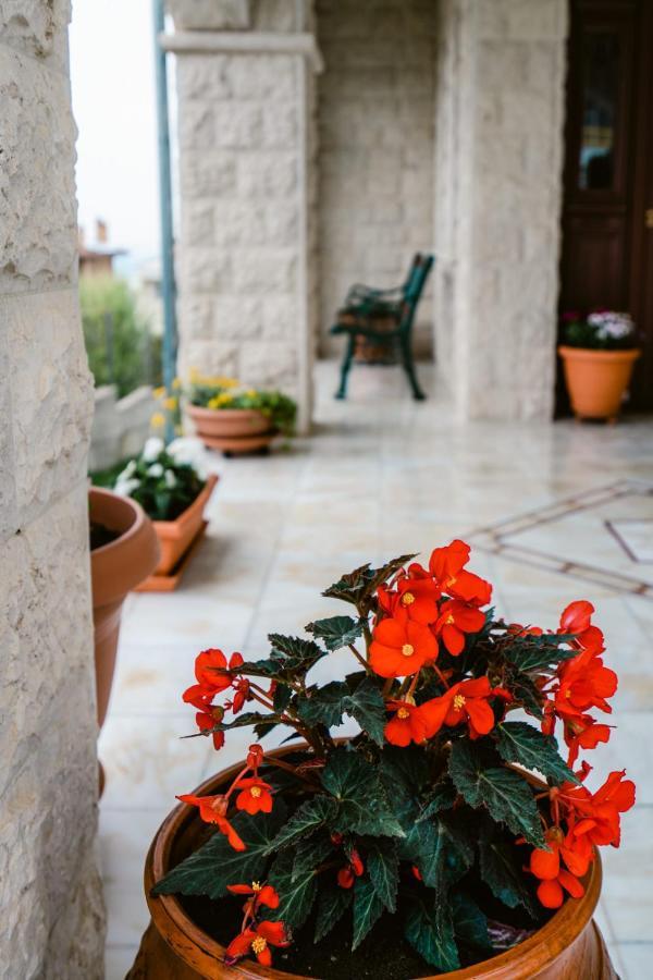 Veria Panorama Luxury Suite With Garden. Luaran gambar